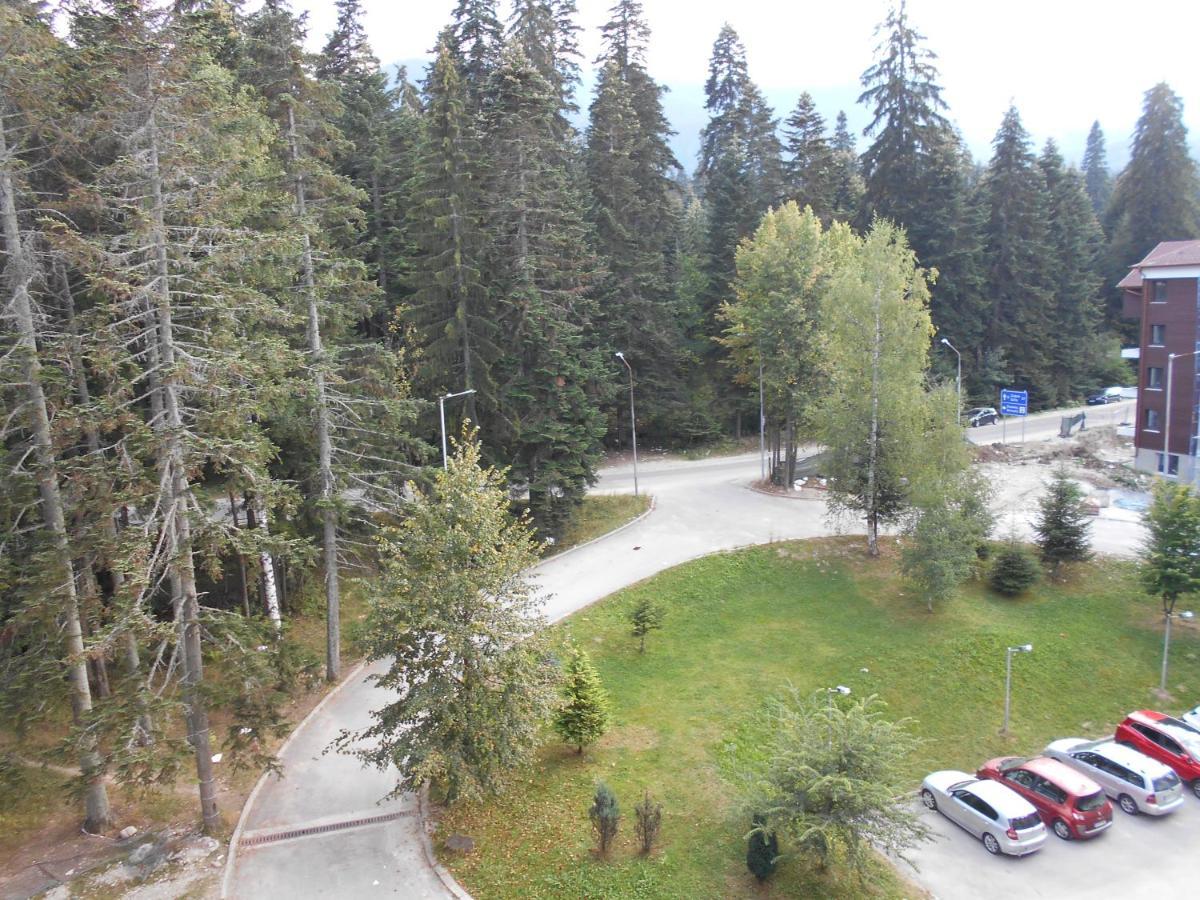 Valentina'S Studio In "Borovets Gardens" Hotel 外观 照片